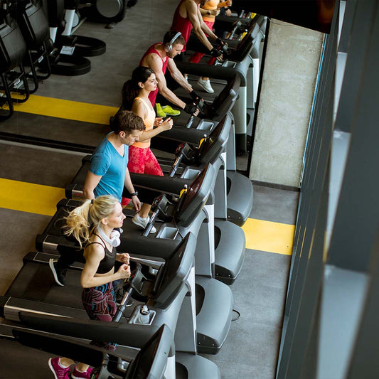 Zone 2 Cardio